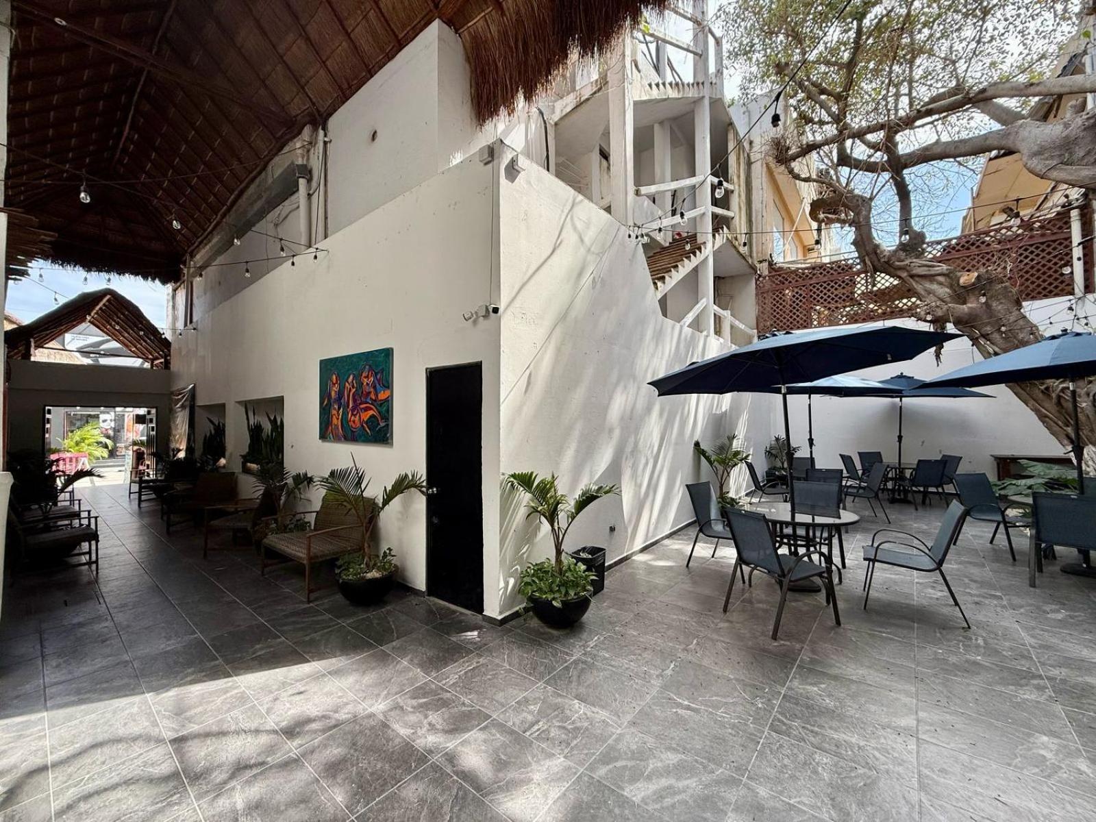 Casa Tortuga 5Th Ave Hotel Playa del Carmen Exterior foto
